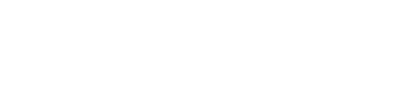 Jiffy Steamer France